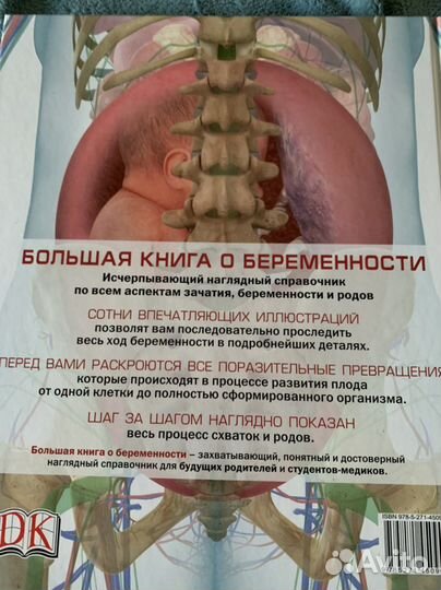 Большая книга о беременности Сара Брюэр