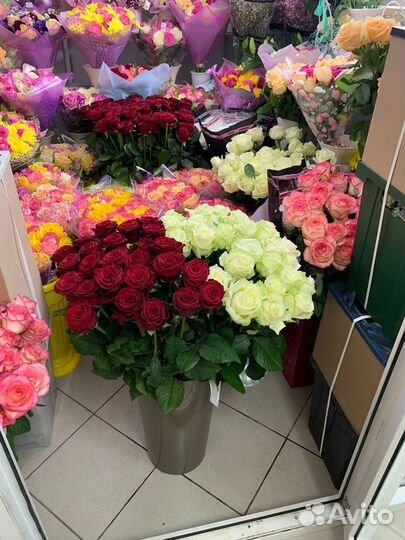 25 роз