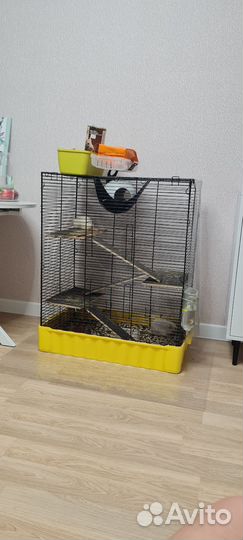 Большая клетка для крыс и шиншилл