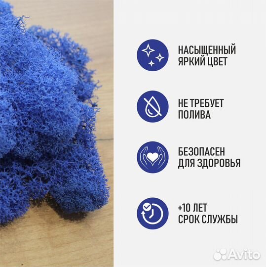 Мох стабилизированный