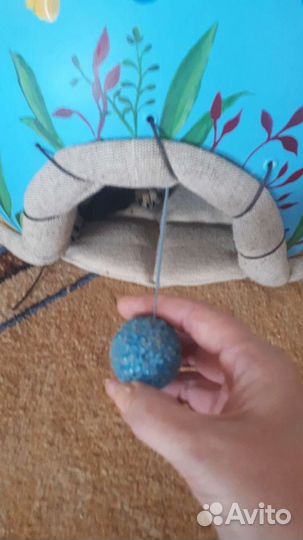 Домик для животных