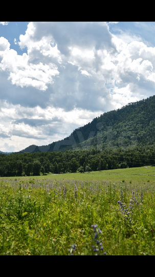 Участок 10 сот. (СНТ, ДНП)