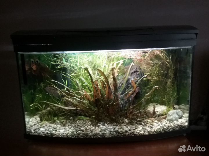 Аквариум