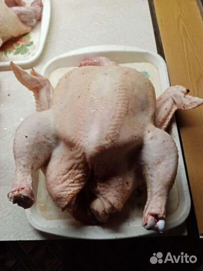 Продам мясо птицы