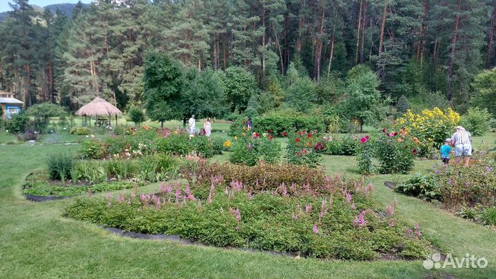 Экскурсия в Горно-Алтайский ботанический сад