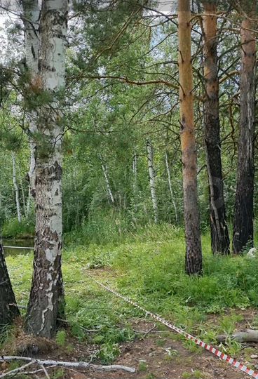 Участок 13,4 сот. (СНТ, ДНП)