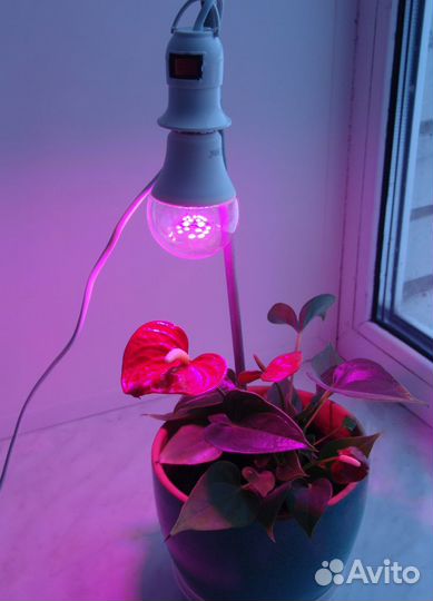 Патрон для фитолампы