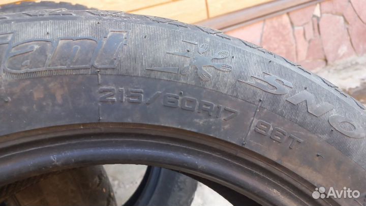 Cordiant Sno-Max 19B