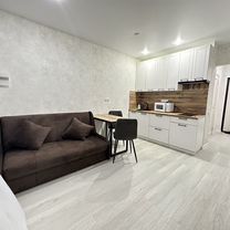 1-к. квартира, 30 м², 1/17 эт.