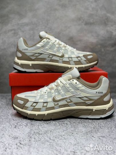 Кроссовки Nike P6000