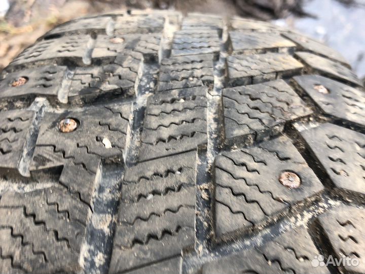 Cordiant Polar 2 185/65 R15