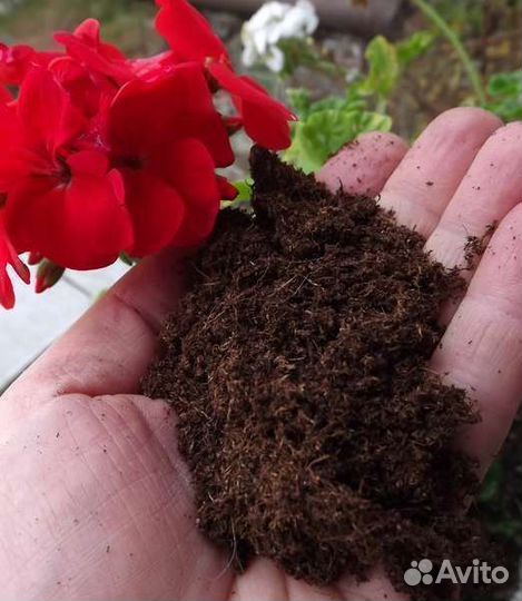 Торф с доставкой верховой низинный