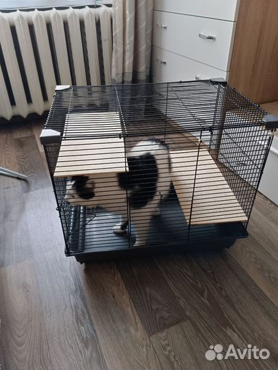 Клетка для грызунов бу