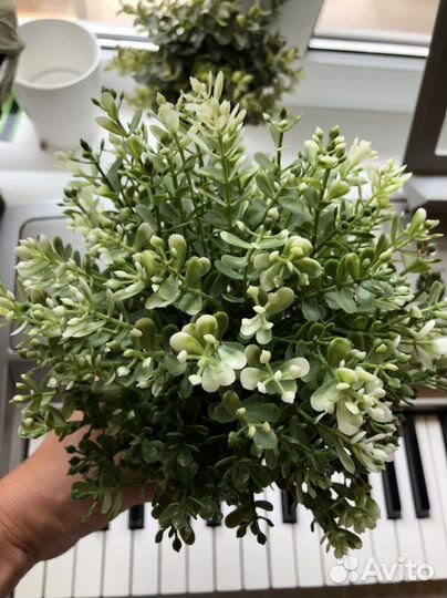 Искусственные цветы IKEA