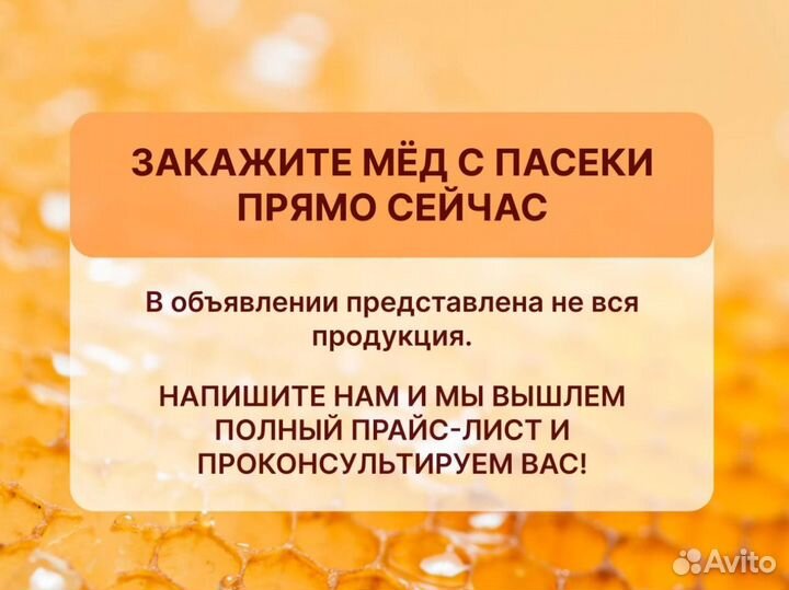 Мёд свежий 2023 опт