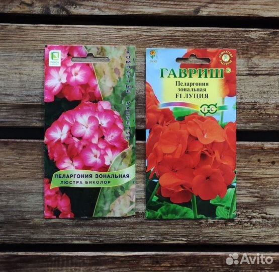 Семена Пеларгонии