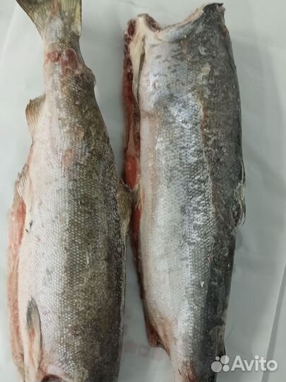 Икра красная горбуши