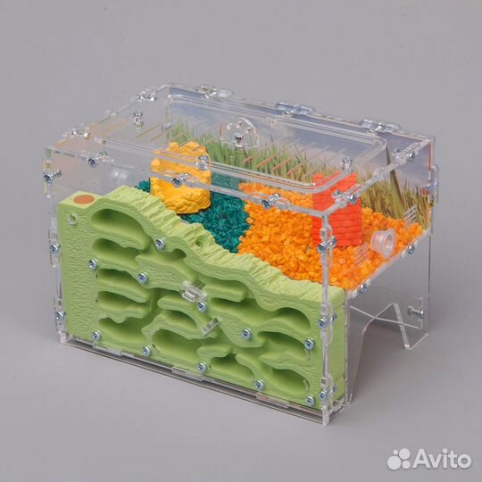 Муравьиная ферма Стандарт (Новые)