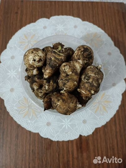 Топинамбур клубни