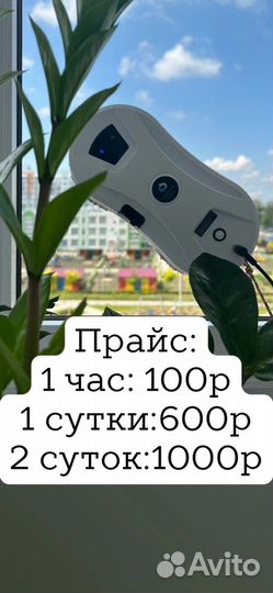 Аренда робота-мойщика окон