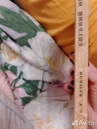 Евгений Онегин