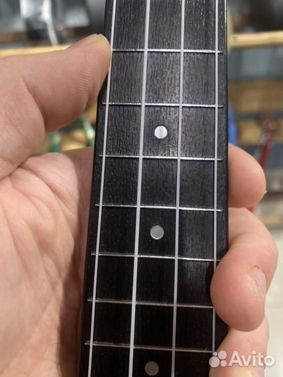 Flight TUS Alyona Shvetz Укулеле