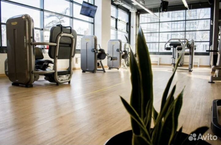 Абонемент в фитнес клуб A-фитнес на Тореза