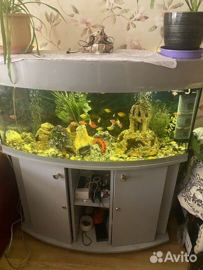 Аквариум с тумбой 180 литров