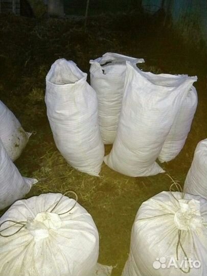 Конский навоз