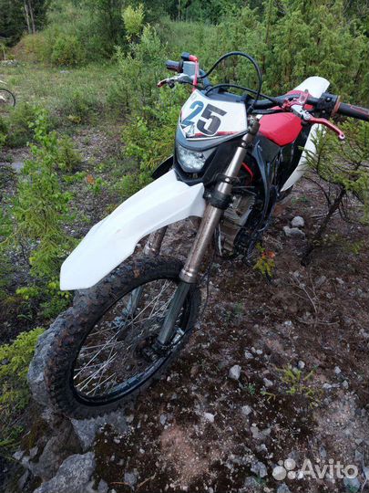 T-Rex 250 pro (Bse Z5)