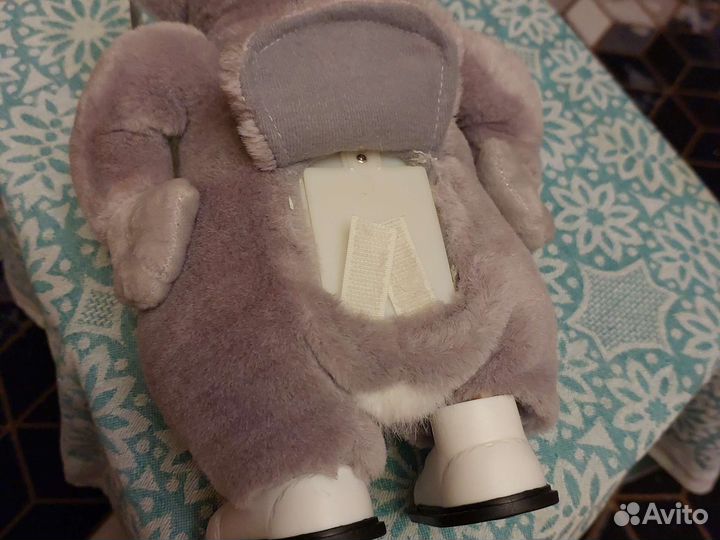 Поющий и танцующий енот