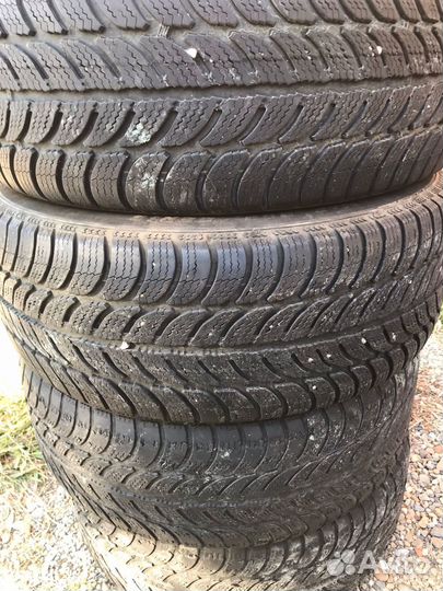 Sava Eskimo S3+ 205/55 R16