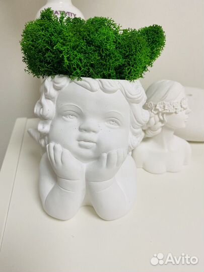 Кашпо Ангелочек + живой мох новое