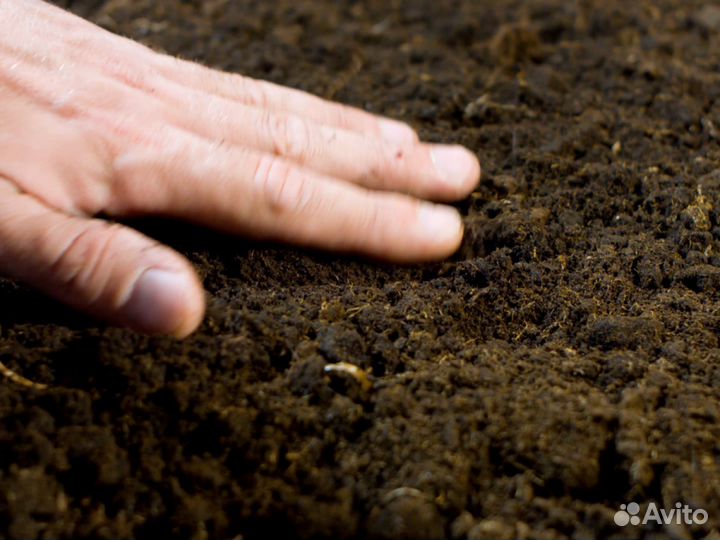 Чернозём в наличии с доставкой