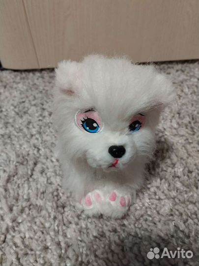 Парикмахерская для животных