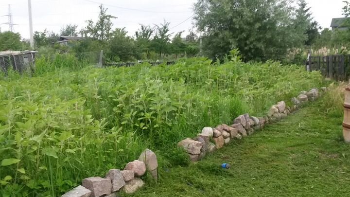 Участок 7 сот. (СНТ, ДНП)