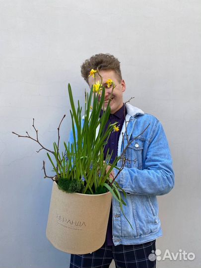 Композиция с живыми луковичными цветами