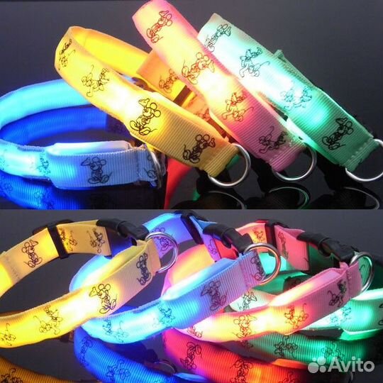 Светящиеся Ошейники