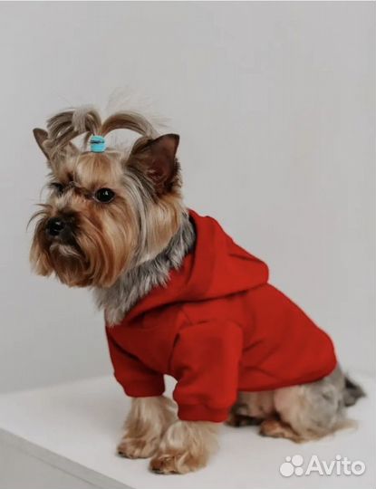 Худи для собак