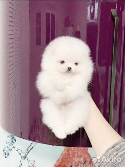 Офигительный мальчишка