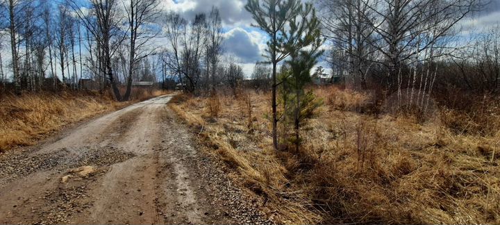 Участок 10,5 сот. (СНТ, ДНП)