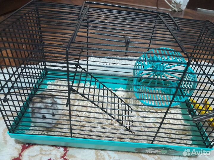 Клетка для джунгарского хомяка