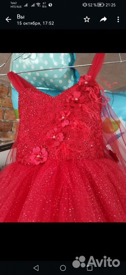 Платье и шубка