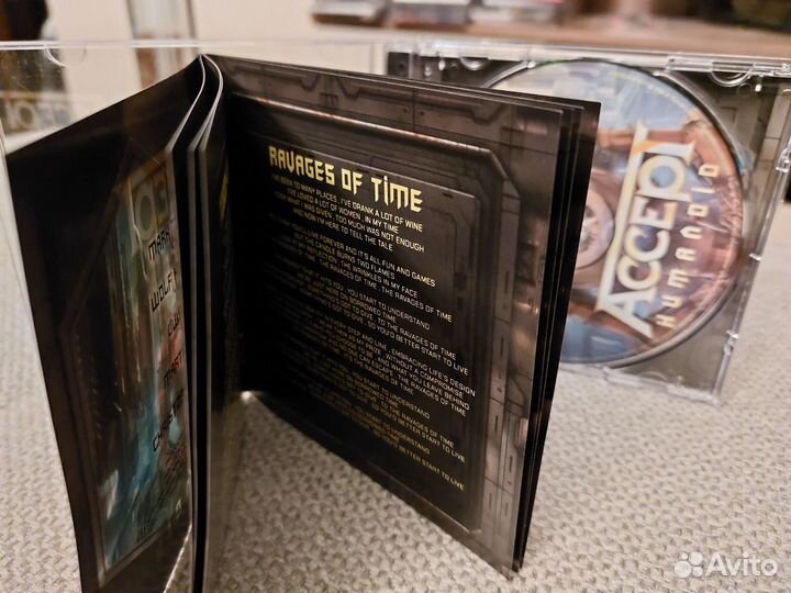 Cd Accept humanoid 2024г