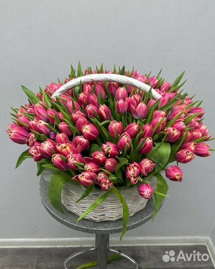 Тюльпаны 51 шт