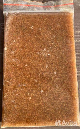 Замороженные и сухие корма для аквариумных рыб