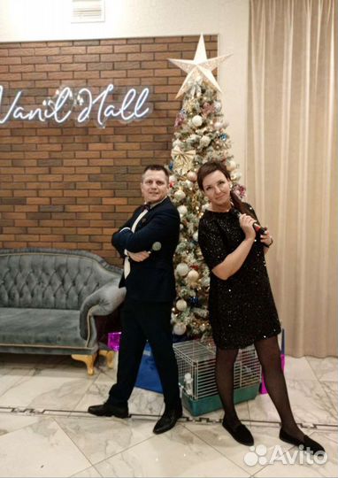 Ведущий, ведущая, тамада, ди джей, фокусы, свадьба