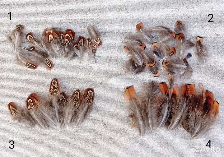 Перо/перья фазана (разные) цена за шт