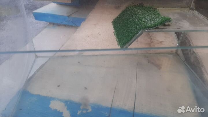 Аквариум 400х250х300