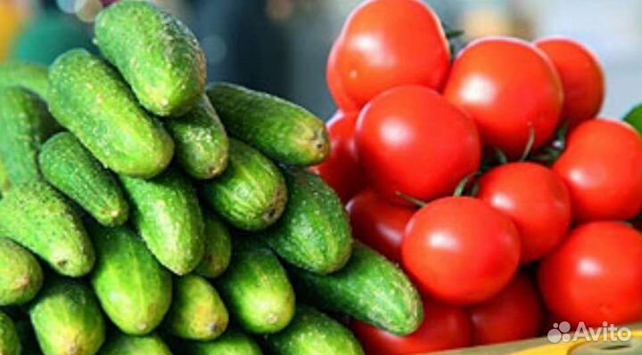 Помидоры и огурцы